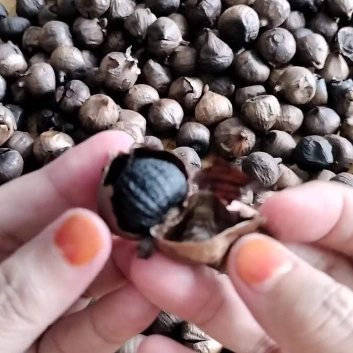 

Promo black garlic bawang tunggal