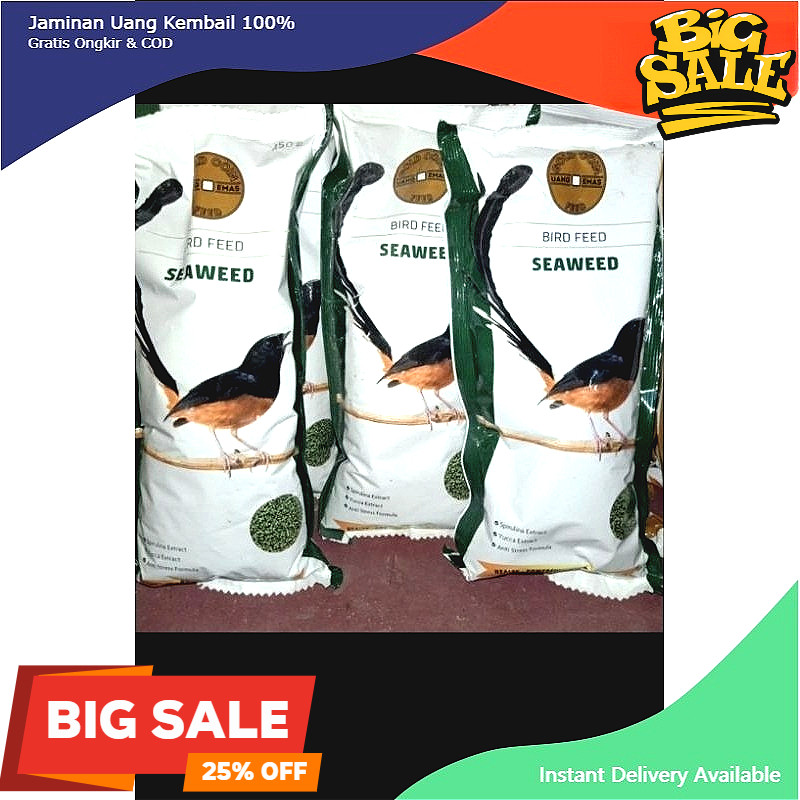 SEAWEED GOLD COIN HIJAU MURAI BATU VOER BURUNG MURAI KACER GOLD COIN SEAWEED