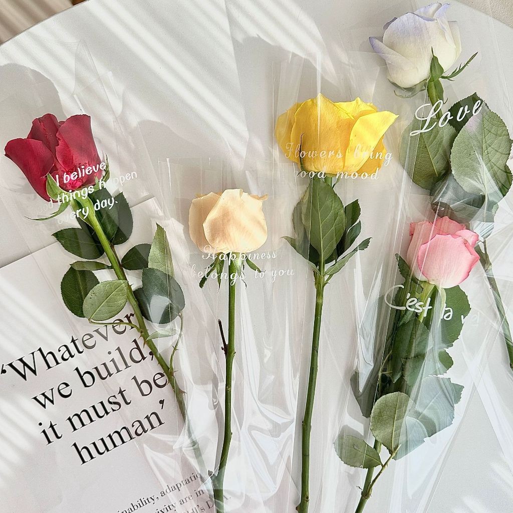 

Plastik Untuk Bunga Mawar 1 tangkai (ecer per lembar) / Wrapping Plastik untuk Mini Buket Rose