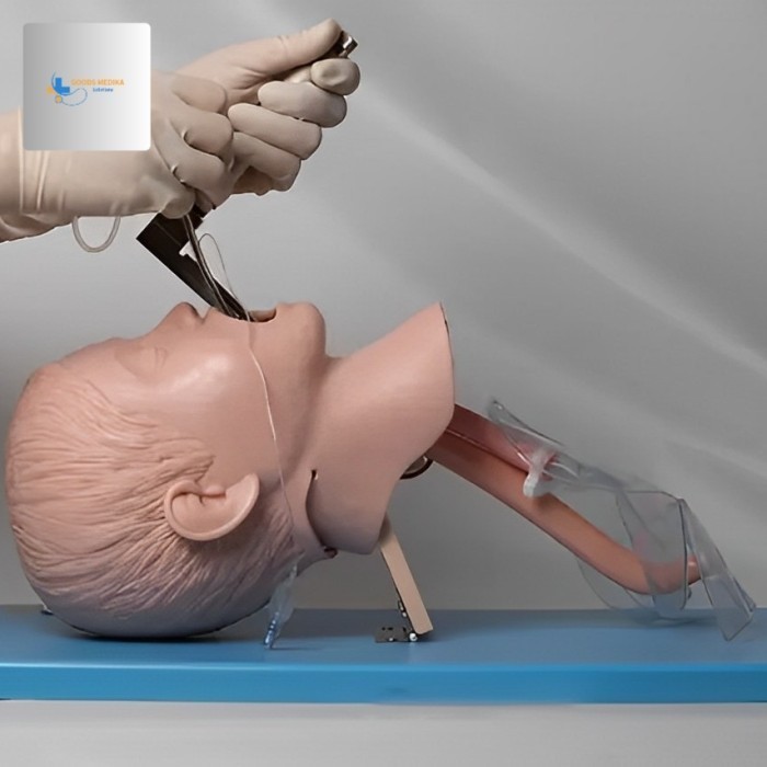 Phantom manekin (Inturbasi model airway manekin)