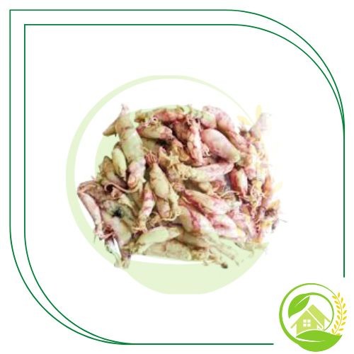 

Cumi Asin 500gr