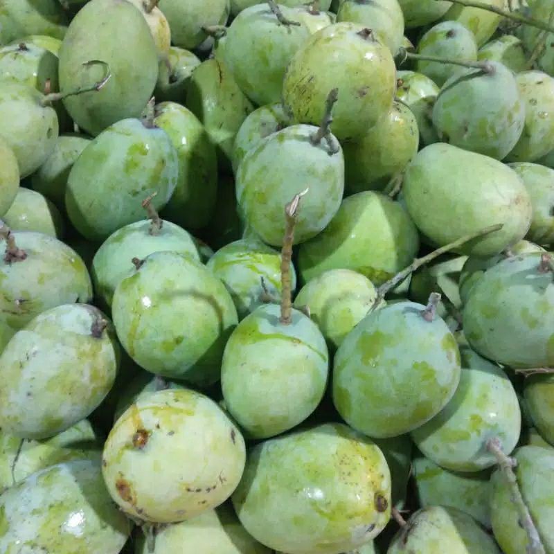

Buah Mangga /Berat 500 gram