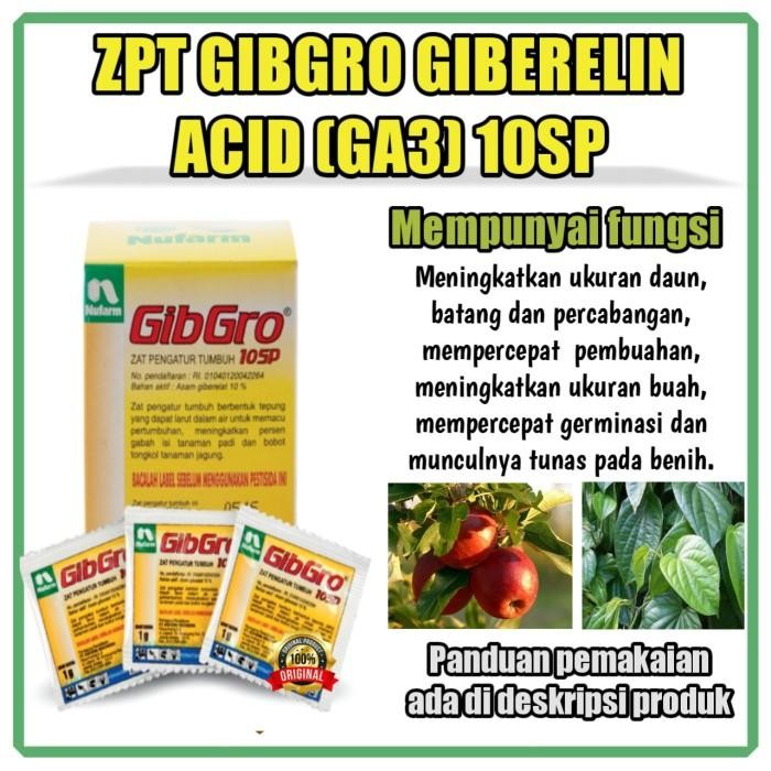 ZPT GibGro Giberelin Acid (GA3) 10SP