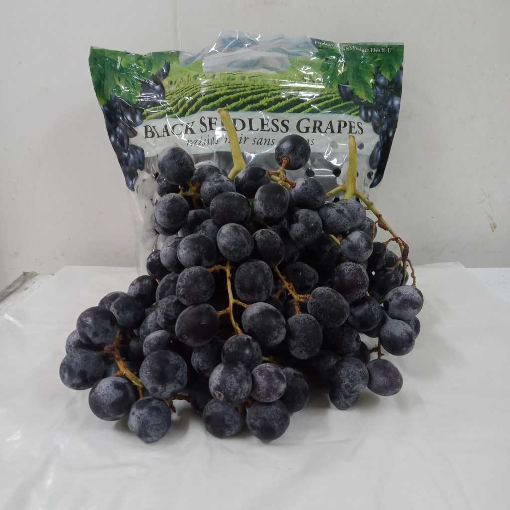 

ANGGUR HITAM TANPA BIJI / SEEDLESS BLACK GRAPES