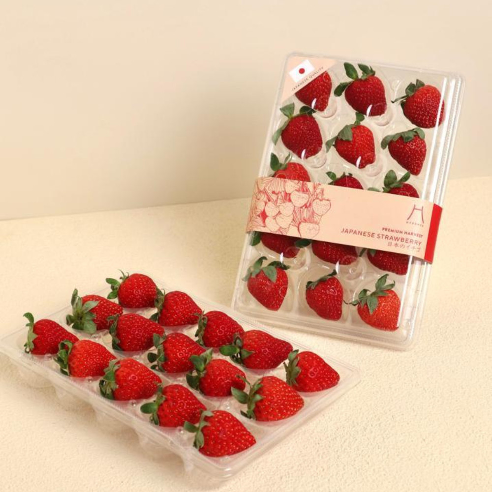 

HYOSHII Strawberry grade A 15's - Buah Segar Sehat