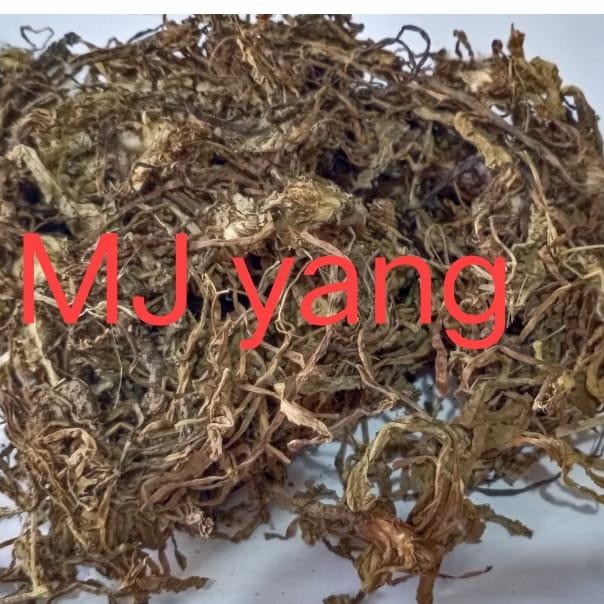 

Pu Gong Ying 50gr - Teh Dandelion Herbal Tea Diuretik Ginjal Liver Pe
