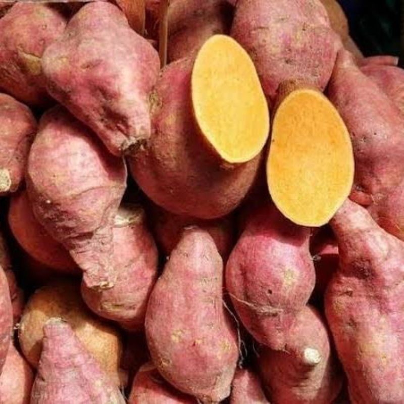 

Ubi jalar Oren 1kg Rempah_herbalCo