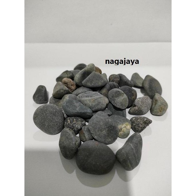 Batu coral koral hitam batu hias aquascape batu hiasan tanaman 500 gr aksesoris aquarium