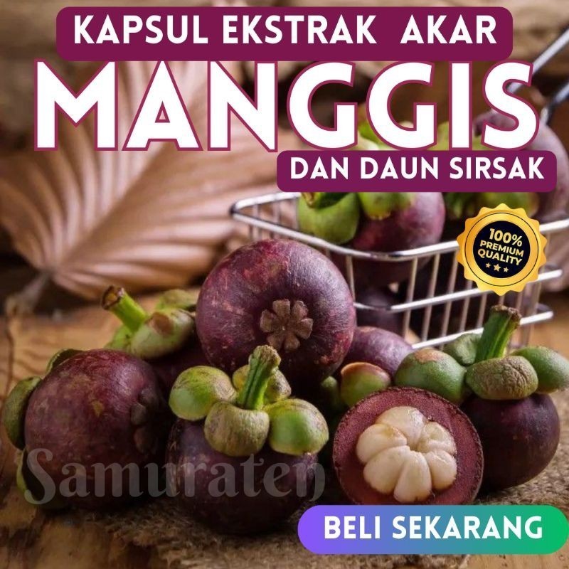 Tamochi Herbal -  KAPSUL EKSTRAK AKAR MANGGIS DAN DAUM SIRSAK