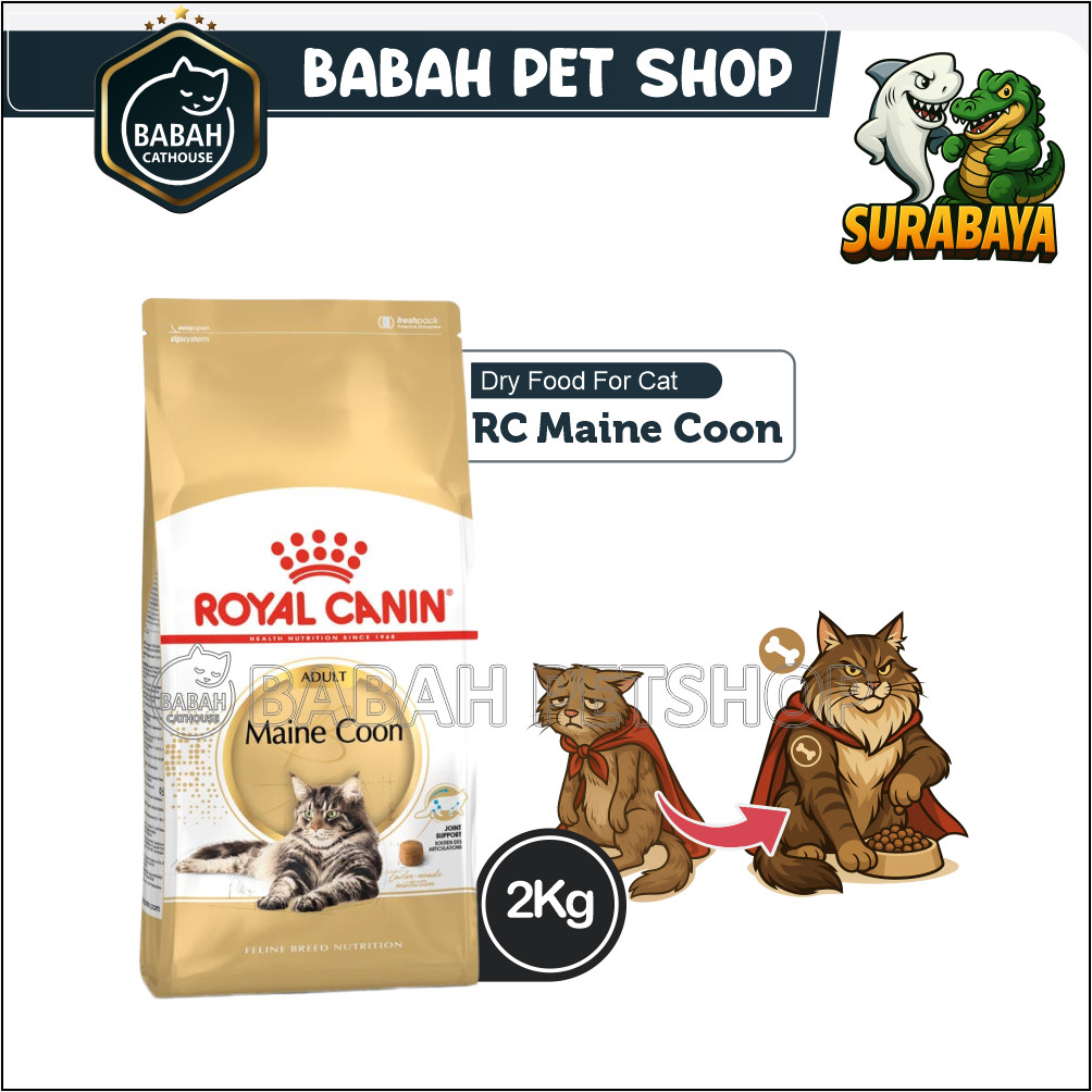 2kg ROYAL CANIN ADULT MAINECOON cat food makanan kucing rc main coon untuk dewasa ras besar bulu pan
