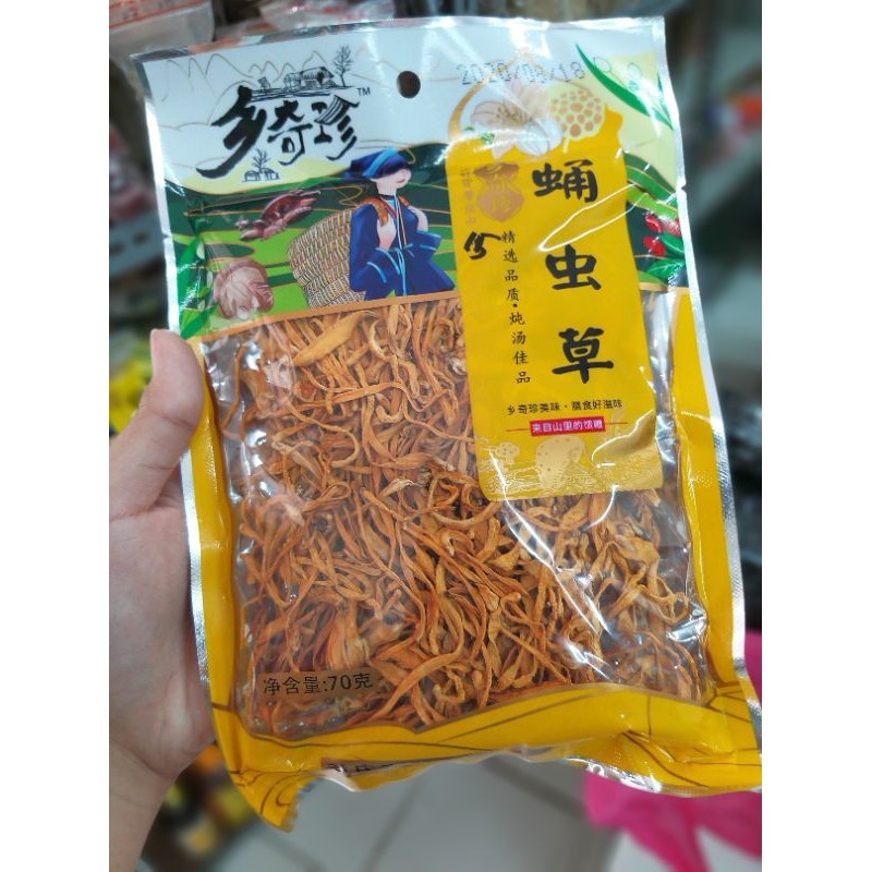 

chinese caterpillar fungus 蛹虫草