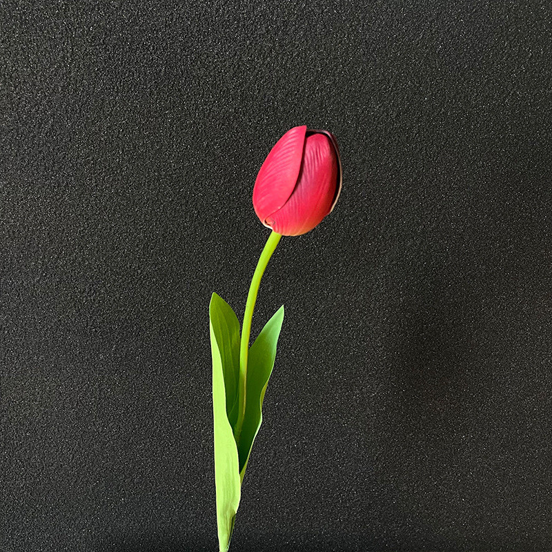 

5560041 Digital Oil Painting Coloring, Manual Coloring, Oil Painting With High Aesthetic Value