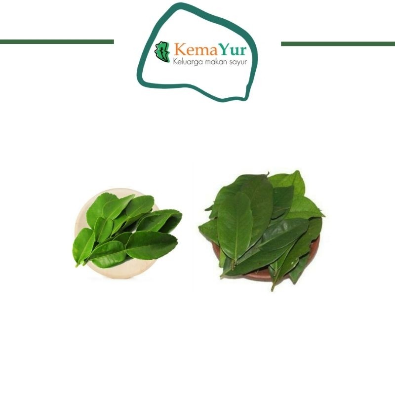 

DAUN SALAM MIX DAUN JERUK PACK