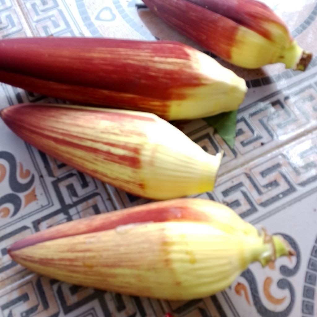 

Abh jantung pisang sayur 1 kg