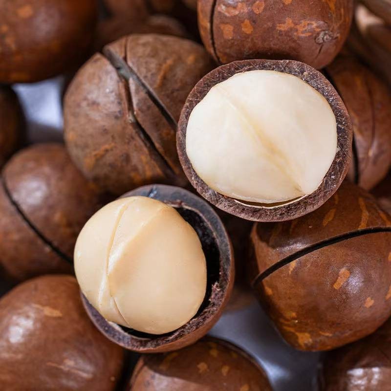 

[HALAL] kacang macadamia/kacang macadamia roasted/kacang macadamia panggang/kacang hawai/250g