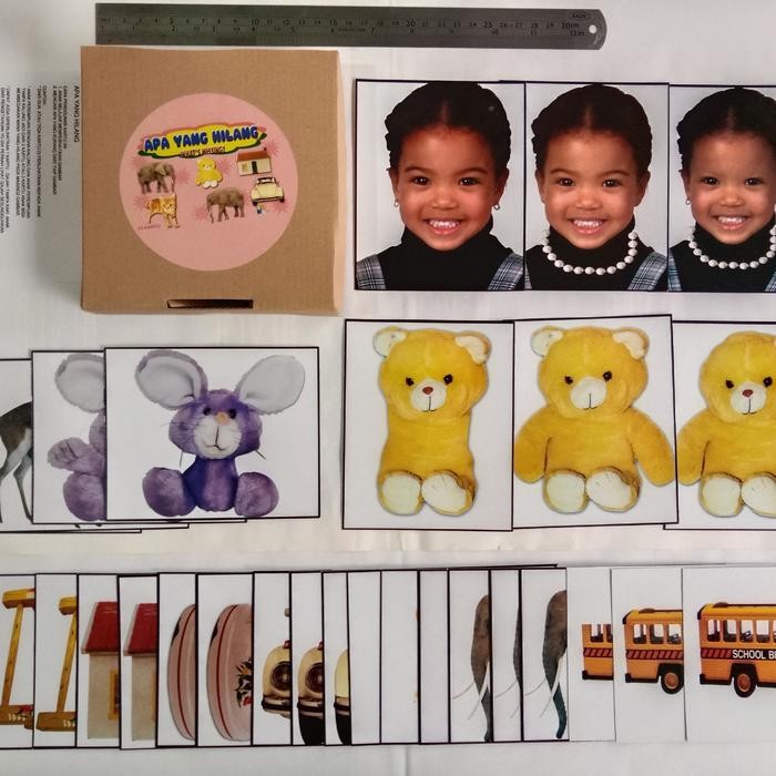 Kartu Flash Cards Terapi Wicara Perilaku Autis Apa Yang Hilang