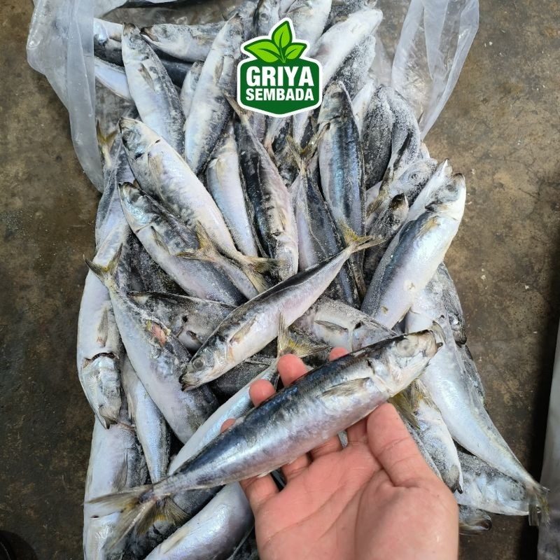 

Ikan Layang Deles 1kg Griya Sembada