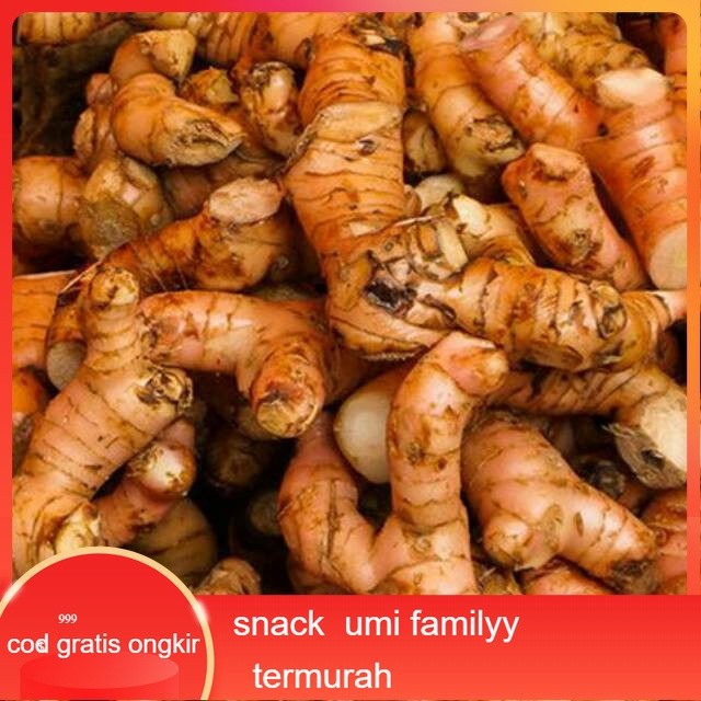 

Promo Lengkuas Laos 500 gr
