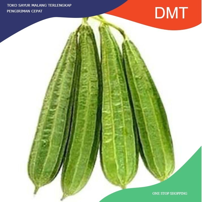 

Gambas Oyong Muda 500gram