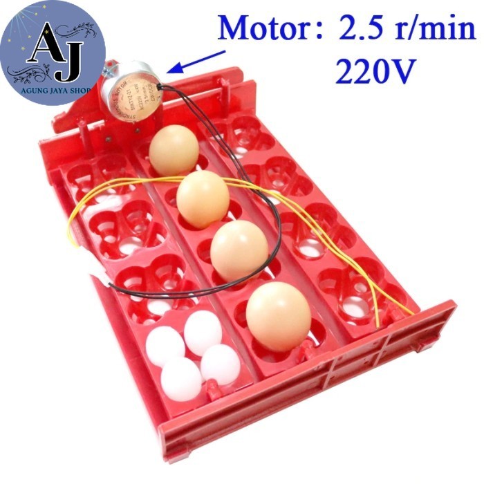 AJstore - 12/48 Egg Tray Motor Rak Pemutar Penetas Telur Mesin Tetas Inkubator Ori