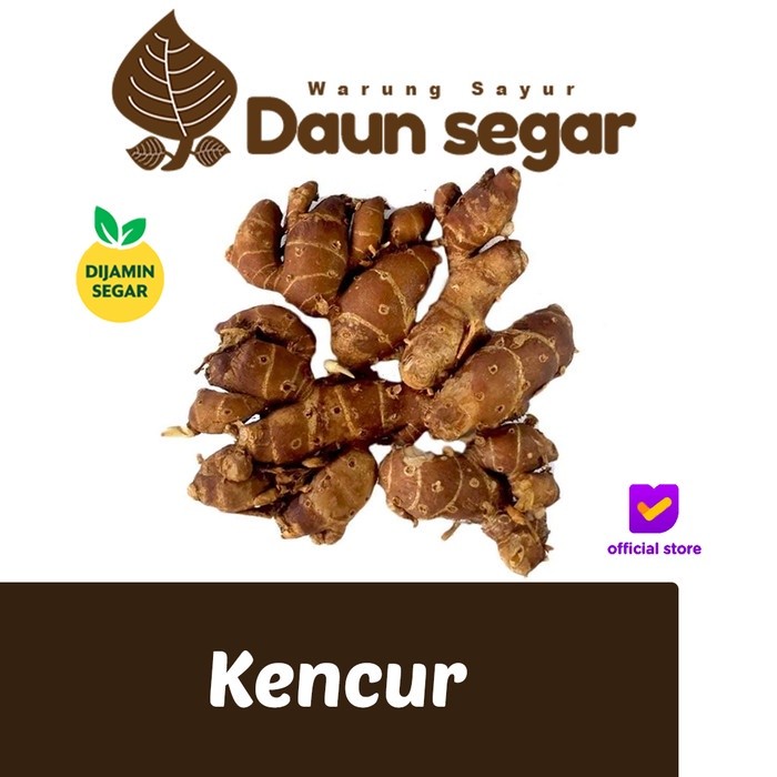 

Kencur / Cikur 100gram Fresh Besar