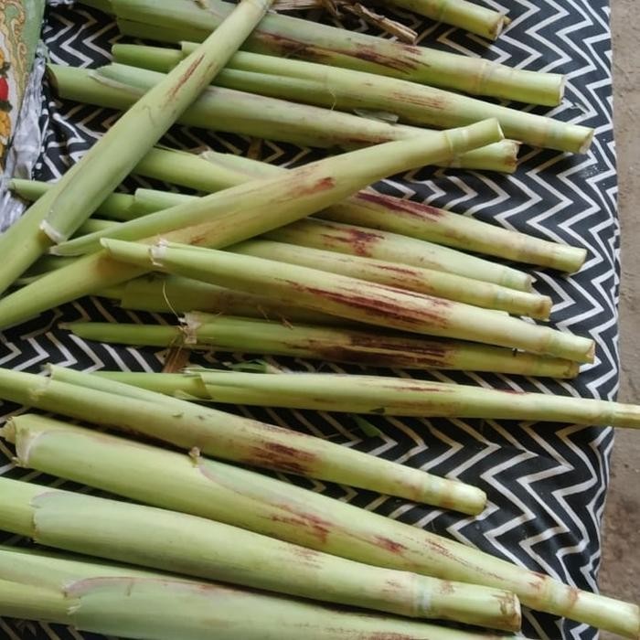 

promo turubuk telur turubuk segar fresh ready