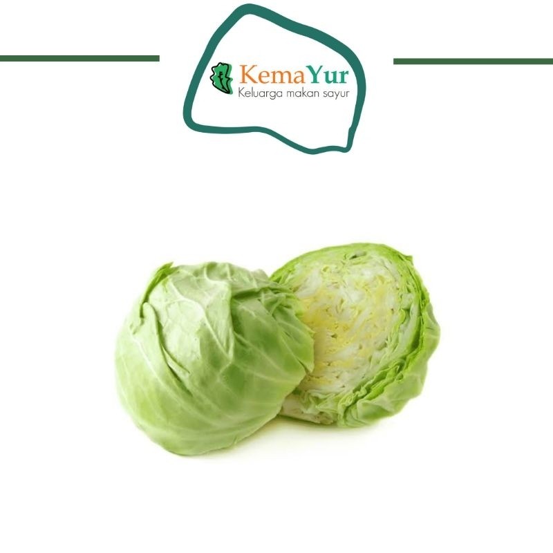 

KUBIS GROSIR 1KG MURAH