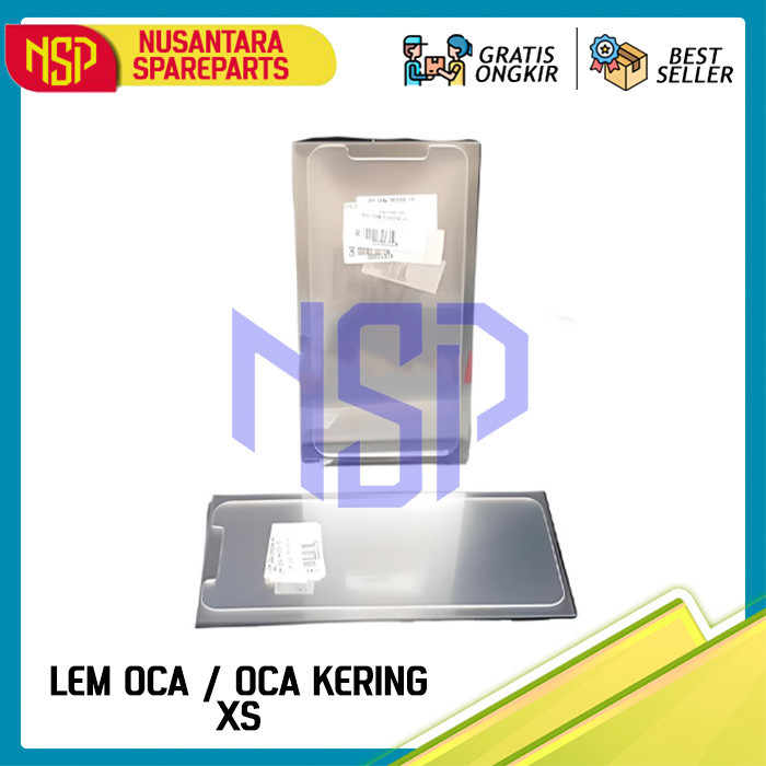 LEM OCA / LEM OCA KERING  XS