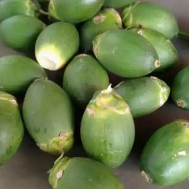 

buah pinang muda segar-buah pinang per500gram-obat herbal alami Shop with