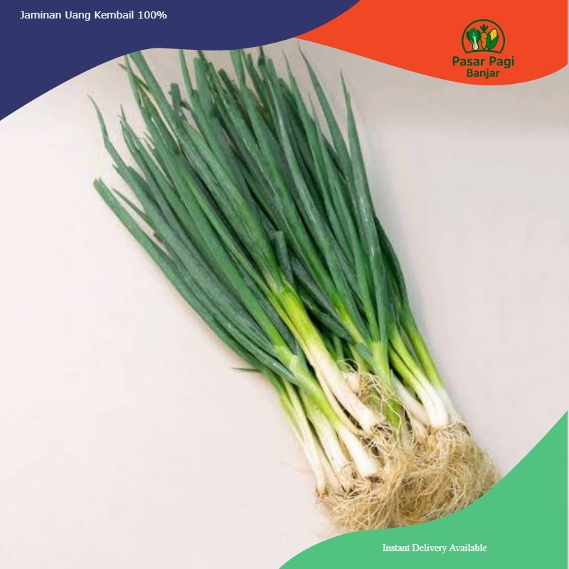 

Daun Bawang Kemasan 1 kg / 500 gram / 250 gram