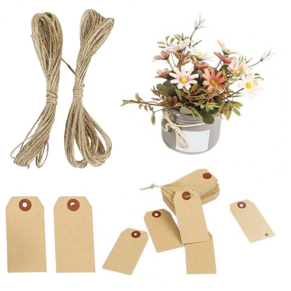 

100 Pcs Kraft Paper Shipping Tags with String Empty Cardboard Sale Price Tag Name Gift Hang Tag for Jewelry Clothing Labeling
