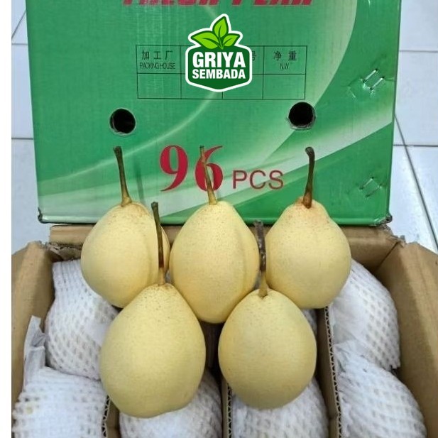 

Grosir Buah Pear Yalie 1 Dus ±17kg Griya Sembada
