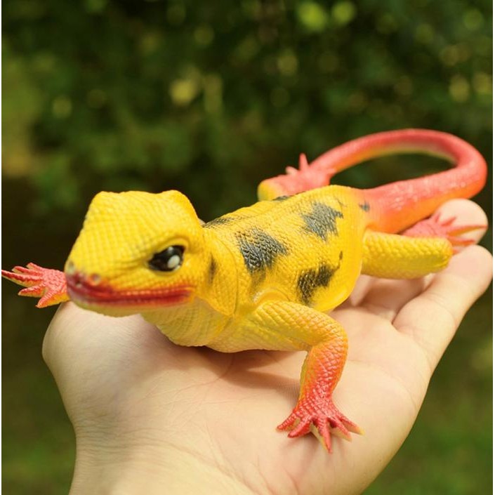 Mainan Anak Hewan Reptil Kadal Cicak Karet Dipencet Bunyi Bersuara Kualitas  UKURAN BESAR 6 MODEL To