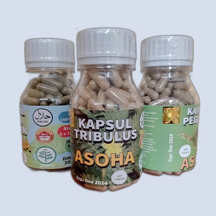 Kapsul Tribulus Isi 200 ASLI .ALAMI. ORGANIC ASLI Berkhasiat