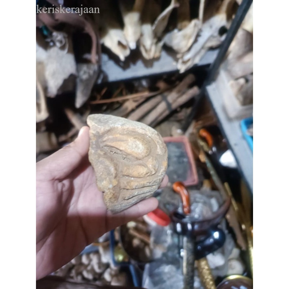 

graham gaja h bam gaja h termurah yang telah memfosil dengan sempurna bk Keris sengkelat majapahit mataram kartosuro kartasura Surakarta Yogyakarta nagasasra sabuk inten keris kriss nogososro Balin antik