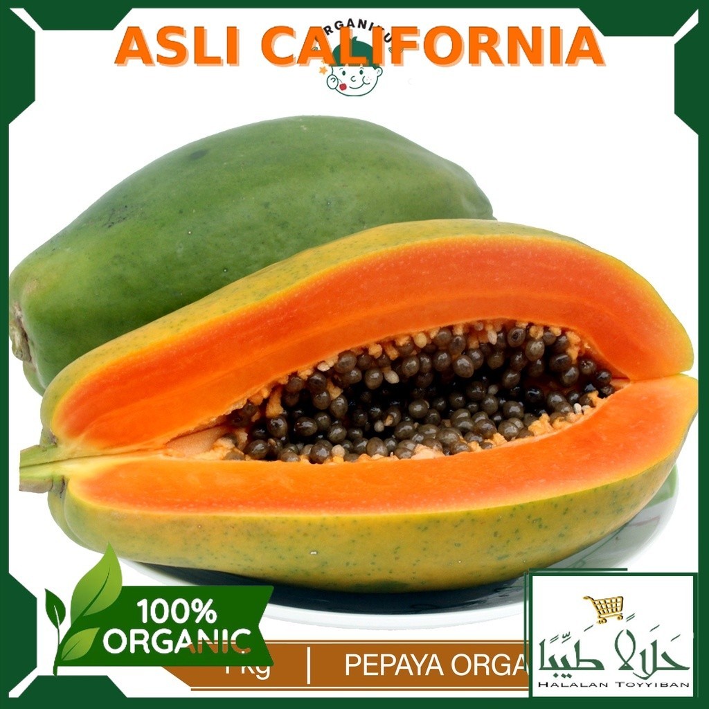 

Buah pepaya organic Per 1 Buah