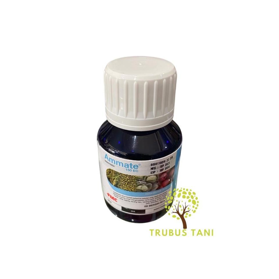 Insektisida ammate 50ml