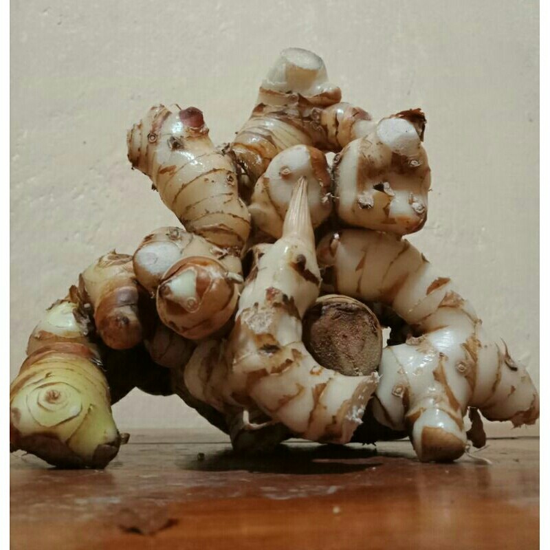 

LENGKUAS/LAOS PUTIH 1kg..LENGKUAS Segar organik / LENGKUAS MURAH ASLI DARI PETANI Sudah di Cuci Bersih
