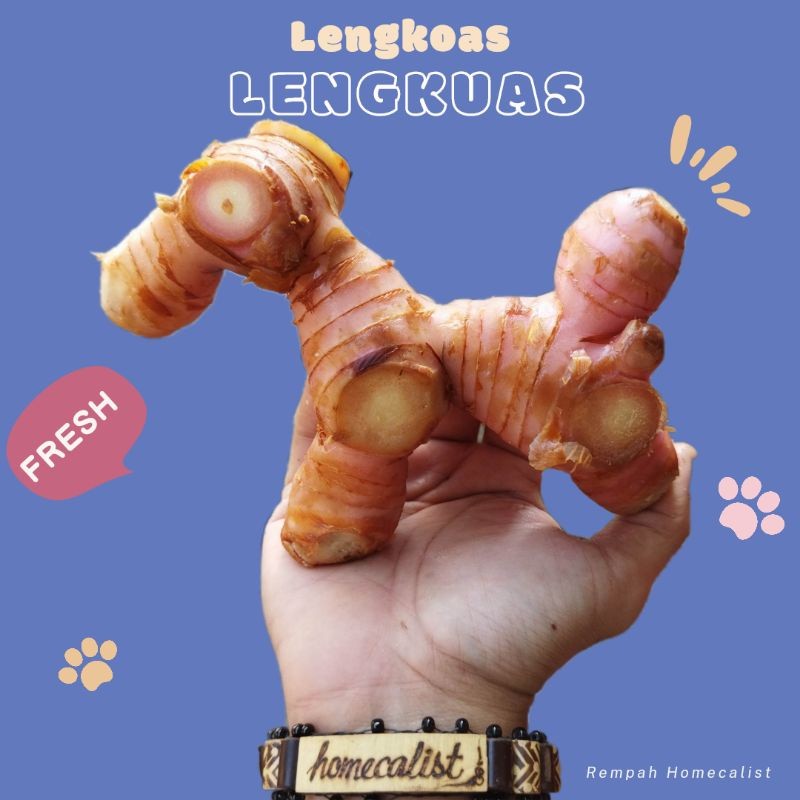 

Lengkuas Segar 500 gram Lengkoas Laos