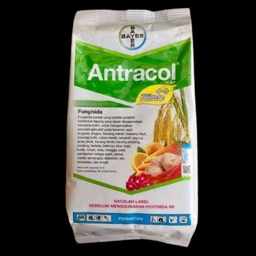 Antracol Fungisida Kemasan Repack - Obat Anti Jamur