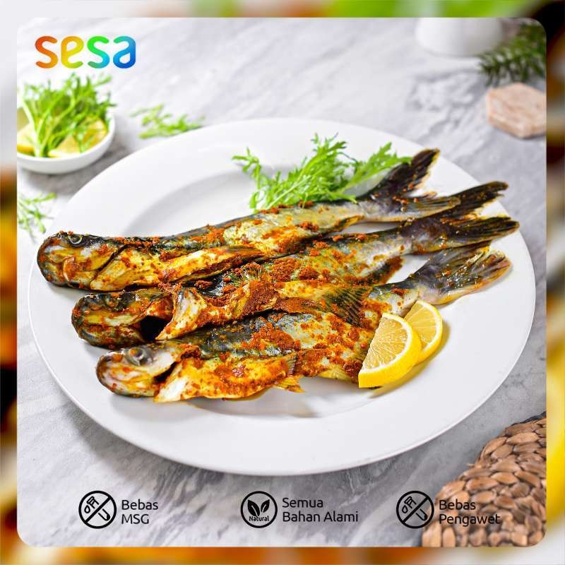 

IKAN PATIN Bumbu Kuning 400 - 500gr - Sehat Segar