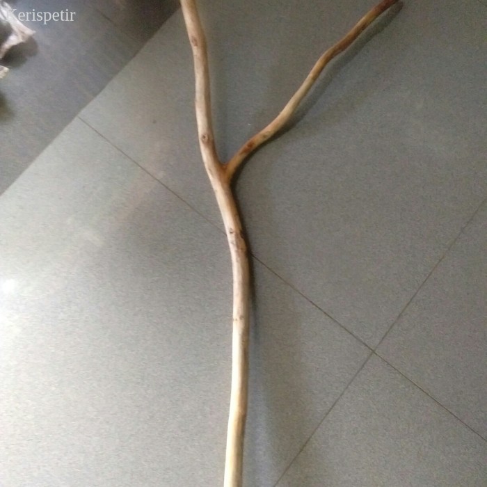 

ranting kayu jati cabang 50 cm - ranting kayu macrame murah