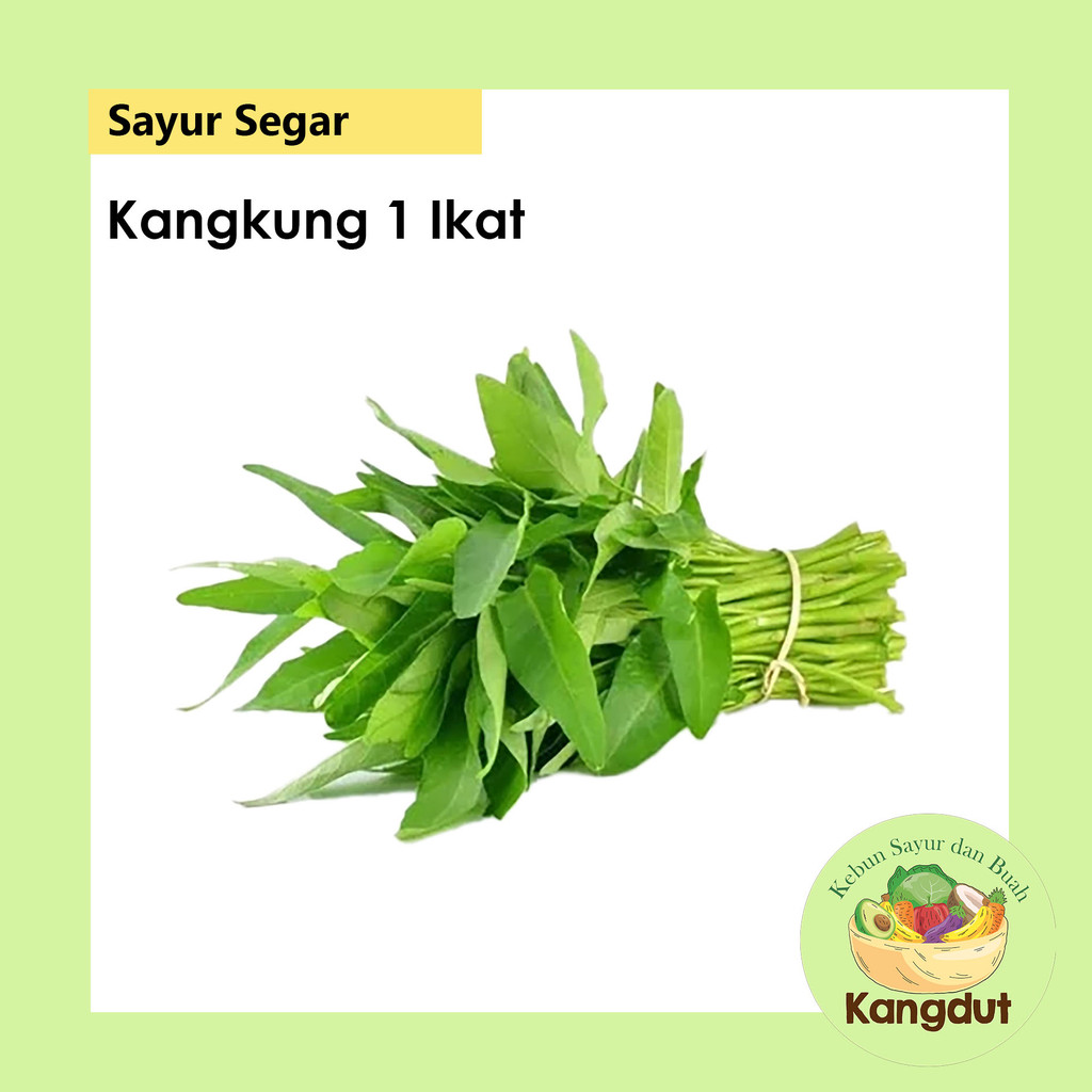 

SAYUR KANGKUNG FRESH 1 IKAT