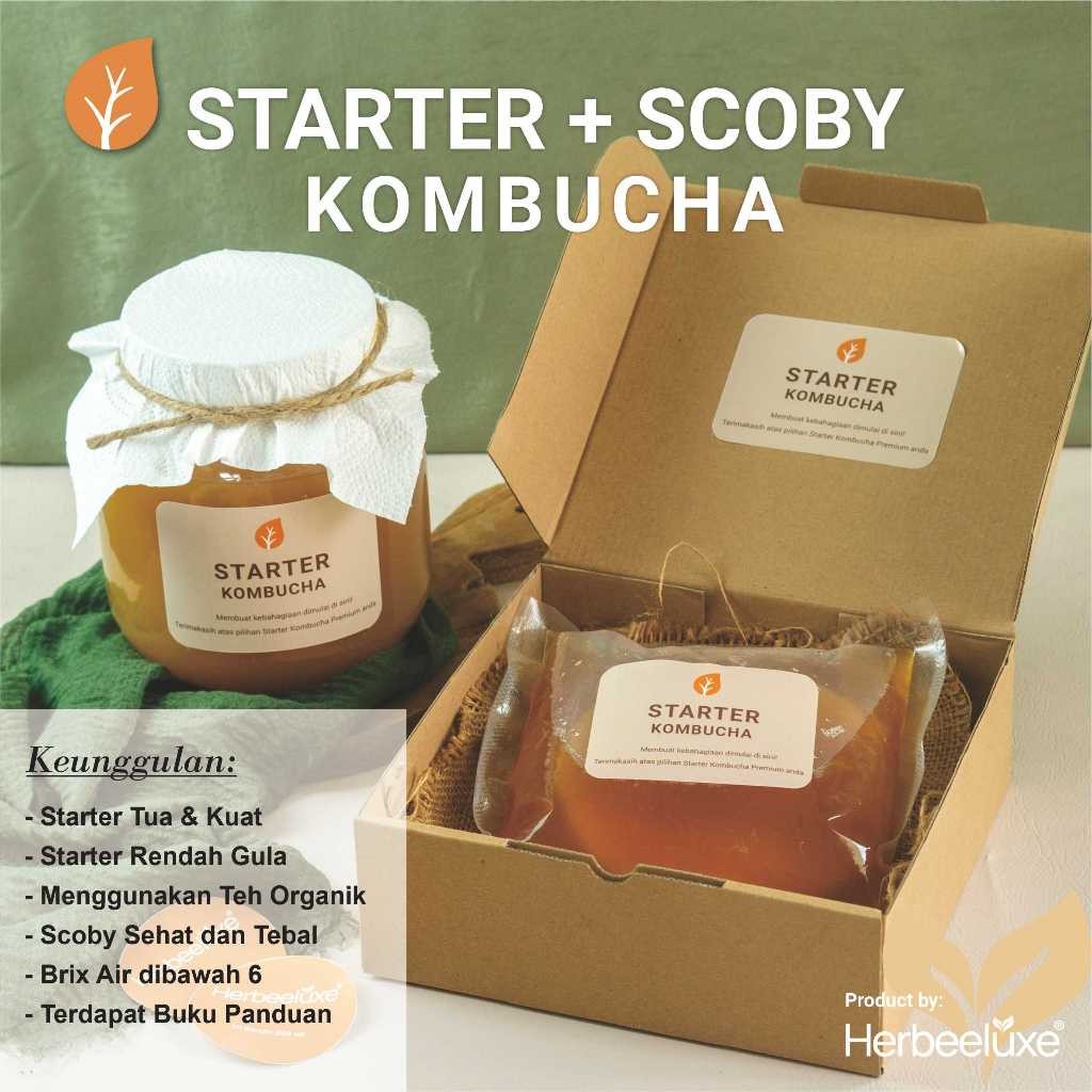 

Paket Starter Kombucha + SCOBY Premium | Bisa Untuk 2 Liter | Bonus Buku Panduan | Homemade