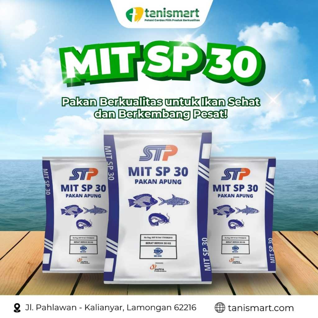 PAKAN APUNG MIT SP PROTEIN TINGGI 20% PAKAN IKAN BANDENG, LELE, MUJAER, NILA DLL | TANISMART