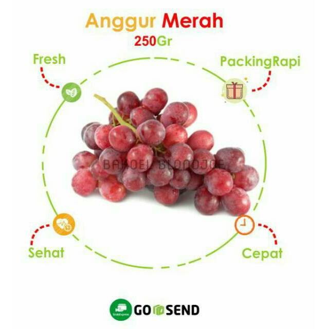 

ANGGUR RED GLOBE MERAH IMPORT / GRAPE / FRESH FRUIT / FRUIT / BUAH BUAHAN SEGAR SURABAYA BEST SELLER