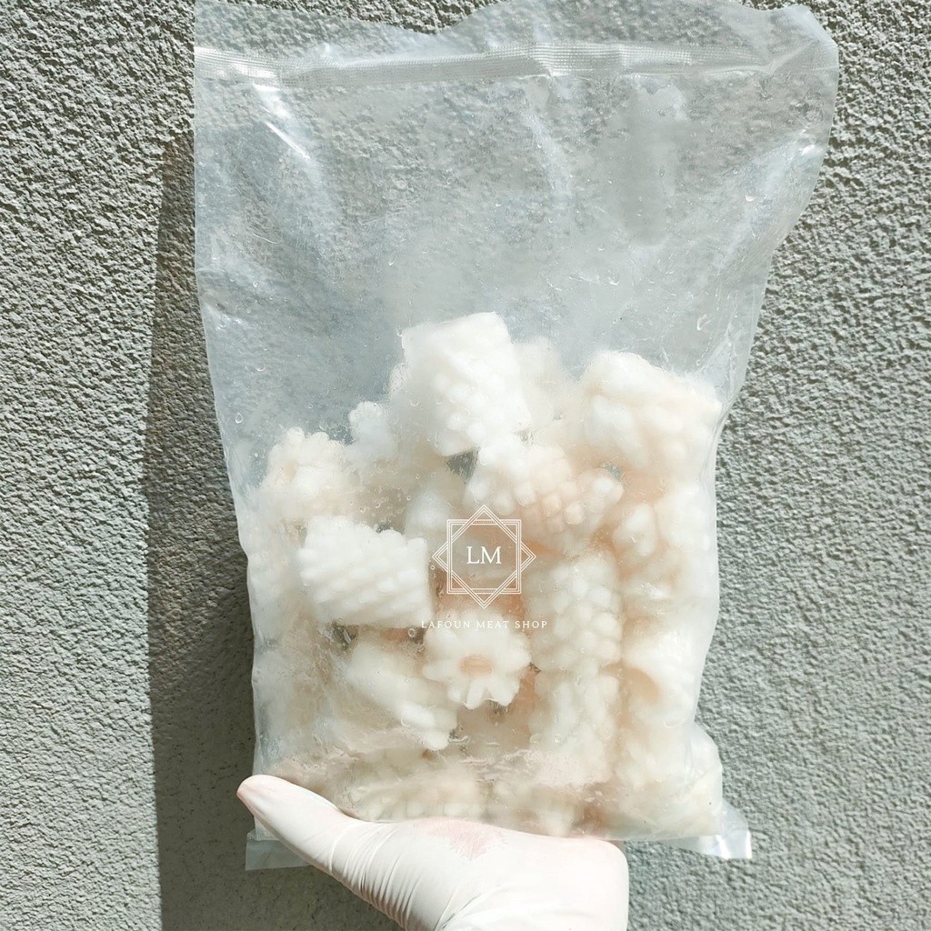 

Squid Flower Import / Cumi Flower