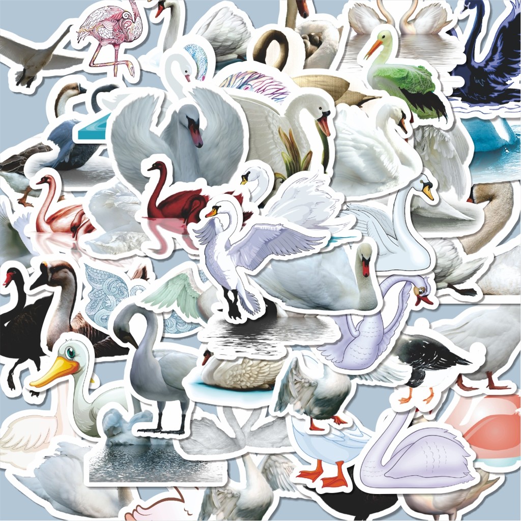 

100PCS Lucu Stiker Swan Series 1 [Angsa] Stiker Aesthetic Stiker Anti Air Stikers Berperekat Waterproof sticker decal buat Motor Helm Buku Journal Koper Casing HP Laptop Botol Minum Hadiah anak