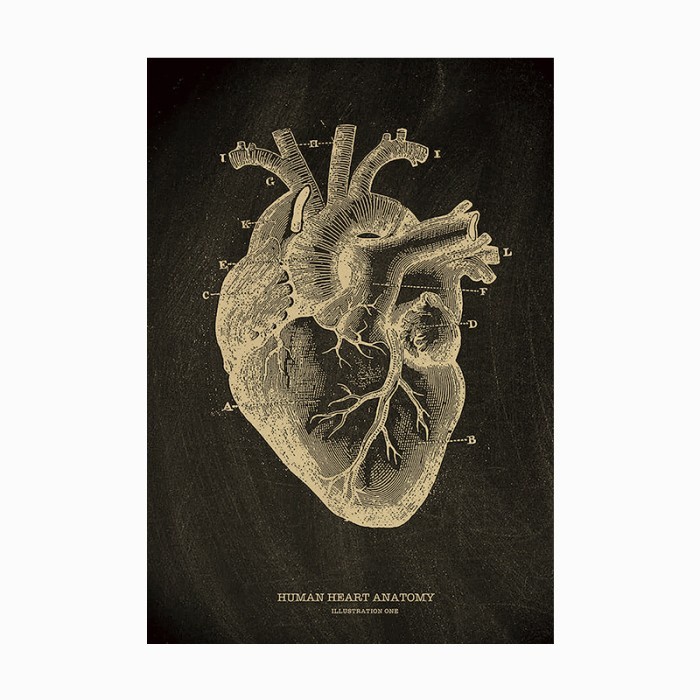 Poster Dinding Cafe / Wall Poster Kamar Anatomi Hitam Putih (Jantung Manusia)