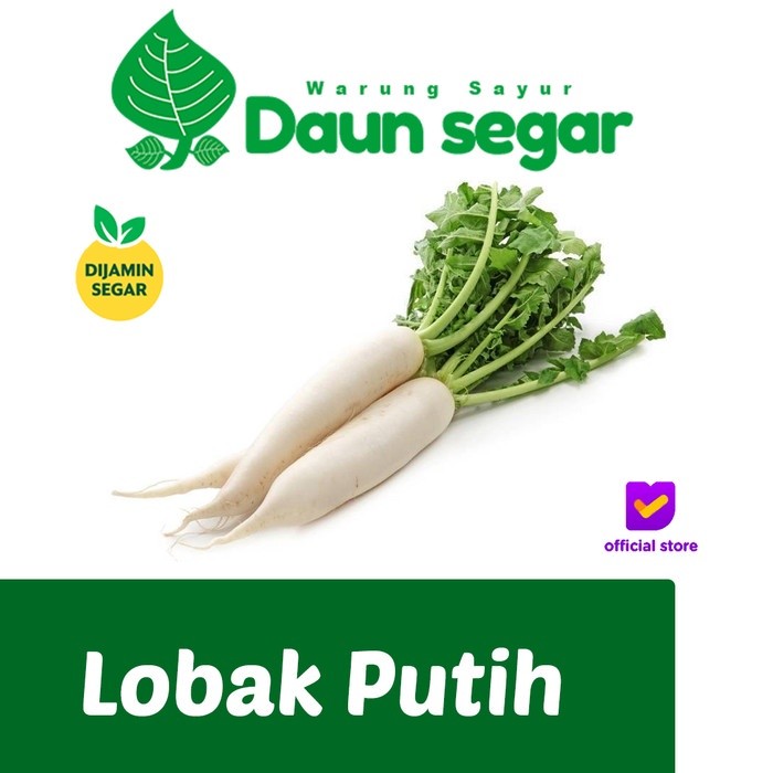 

Lobak Putih Fresh Super Besar